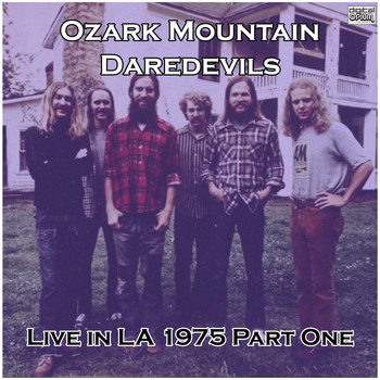 Ozark Mountain Daredevils - Live in LA 1975 Part One (Live)