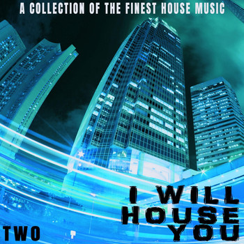 Various Artists - I Will House You: Two - a Collection of the Finest House Music