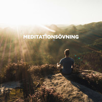 Mindfulness meditation världen - Meditationsövning (Naturliga ljud för att stimulera mindfulness)