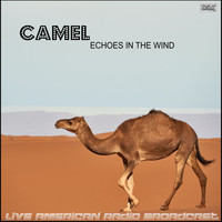Camel - Echoes In The Wind (Live)