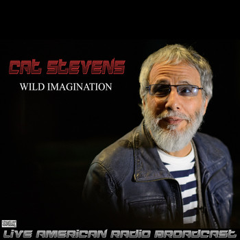 Cat Stevens - Wild Imagination (Live)