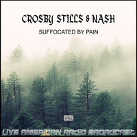 Crosby, Stills & Nash - Suffocated By Pain (Live)