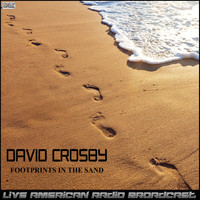 David Crosby - Footprints In The Sand (Live)
