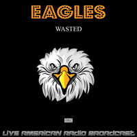 Eagles - Wasted (Live)