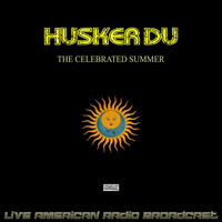 Hüsker Dü - The Celebrated Summer (Live)
