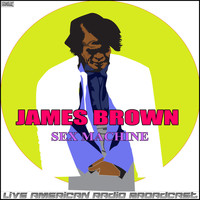 James Brown - Sex Machine (Live)