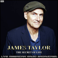 James Taylor - The Secret Of Life (Live)