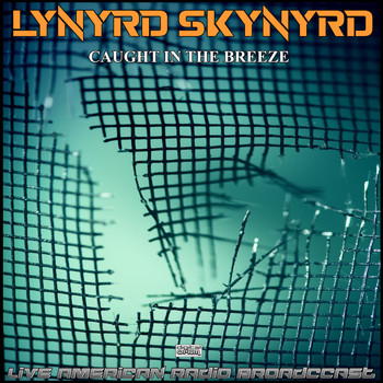 Lynyrd Skynyrd - Caught In The Breeze (Live)