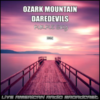 Ozark Mountain Daredevils - Purple Sky (Live)