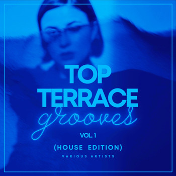Various Artists - Top Terrace Grooves (House Edition), Vol. 1