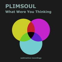 Plimsoul - What Were You Thinking