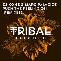 Dj Kone & Marc Palacios - Push the Feeling On (Remixes)