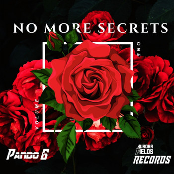 Pando G - No More Secrets