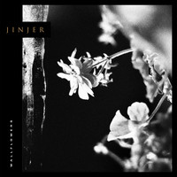 Jinjer - Wallflowers (Explicit)