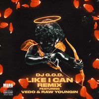 DJ G.O.D. - Like I Can (Remix) [feat. Vedo & Rawyoungin] (Explicit)