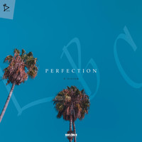 D'Vision - Perfection