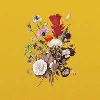 AHTI - Emppu