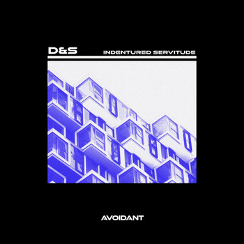 D&S - Indentured Servitude