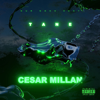 Tane - Cesar Millan