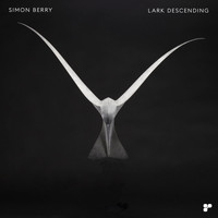 Simon Berry - Lark Descending