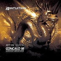 Goncalo M - Locked Grooves
