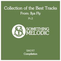 Ilya Fly - Collection of the Best Tracks From: Ilya Fly, Pt. 2