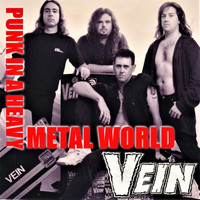 Vein - Punk in a Heavy Metal World