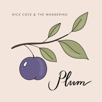 Nick Cove & the Wandering - Plum