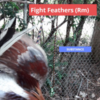 Substance - Fight Feathers (Rm) (Rm)