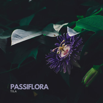 Tila - Passiflora