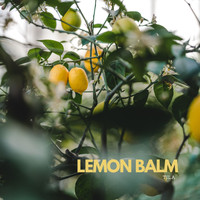 Tila - Lemon Balm