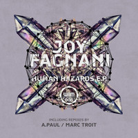 Joy Fagnani - Human Hazards