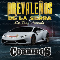 Arevaleños De La Sierra (De Tony Arevalo) - Corridos