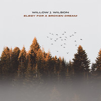 Willow J. Wilson - Elegy For A Broken Dream