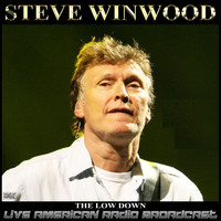 Steve Winwood - The Low Down (Live)