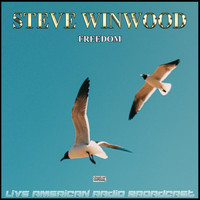 Steve Winwood - Freedom (Live)