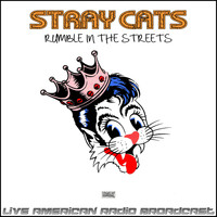 Stray Cats - Rumble In The Streets (Live)