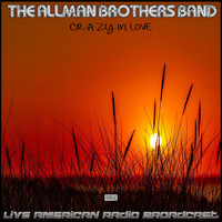 The Gregg Allman Band - Crazy In Love (Live)