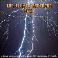 The Allman Brothers Band - Wondering Into The Storm (Live)