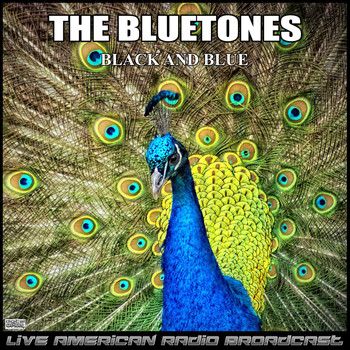 The Bluetones - Black And Blue (Live)