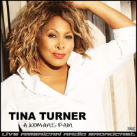Tina Turner - A Woman's Pain (Live)
