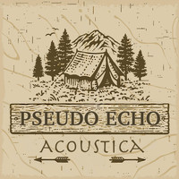 Pseudo Echo - Acoustica