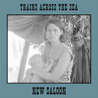 Trains Across the Sea - New Saloon