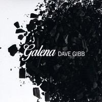Dave Gibb - Galena
