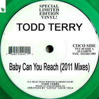 Todd Terry - Baby Can You Reach