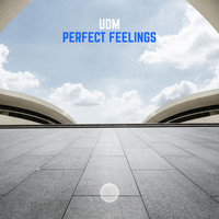 UDM - Perfect Feelings