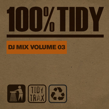 Various Artists - 100% Tidy, Vol. 3