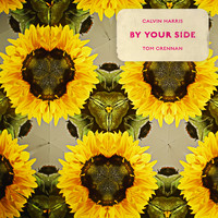 Calvin Harris feat. Tom Grennan - By Your Side