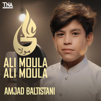 Amjad Baltistani - Ali Moula Ali Moula - Single