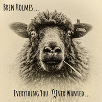 Bren Holmes - Everything You Never Wanted